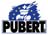 Pubert