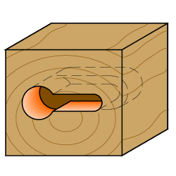 1245366