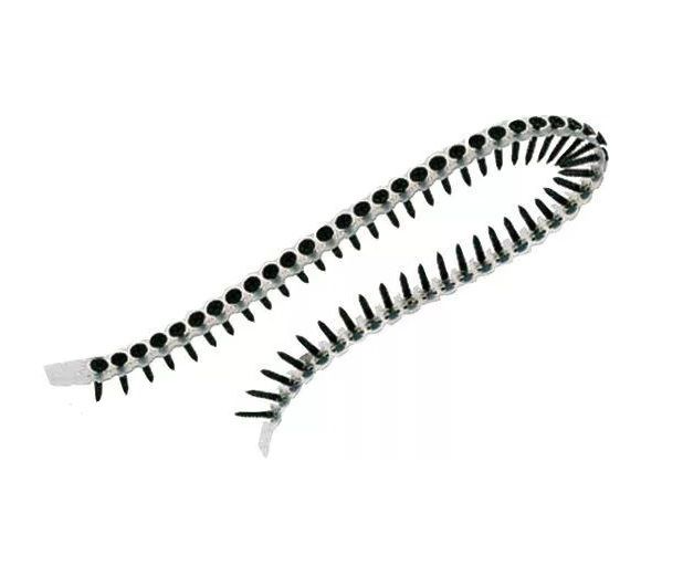 Lindikruvid DeWalt DWF4000550; 3,5x55 mm; 1000 tk