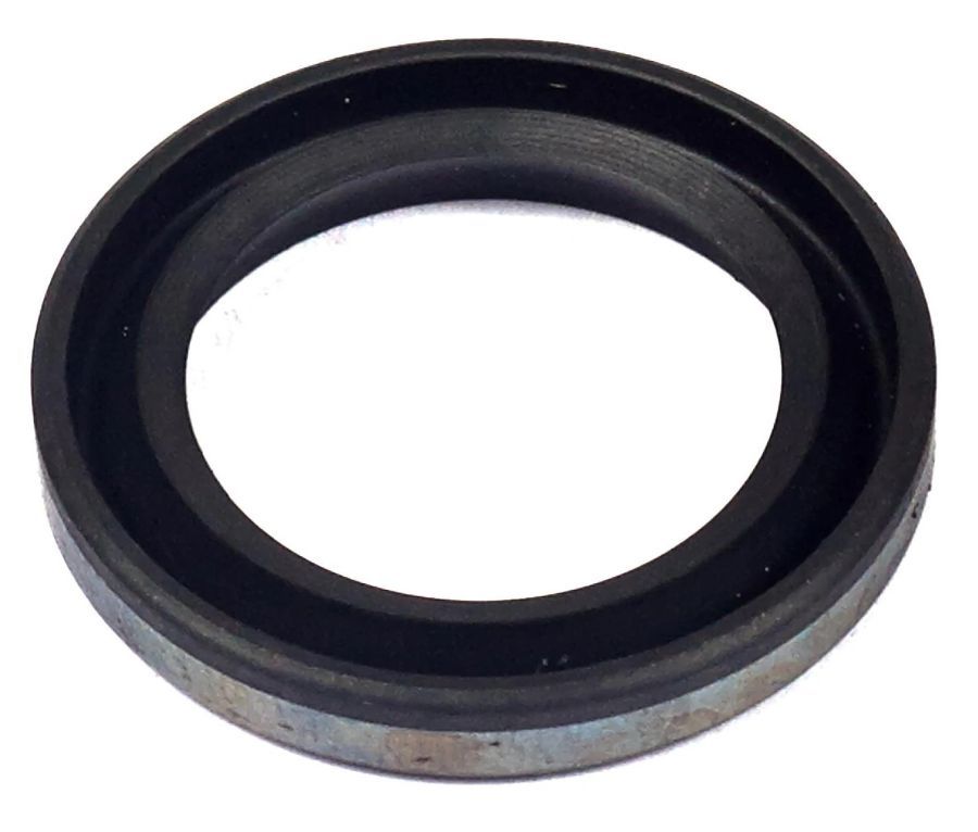 Tihend Briggs&Stratton 299819S