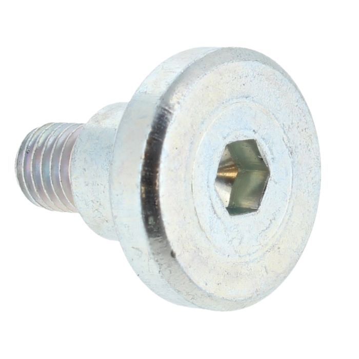 Kruvi Bosch 160343507R