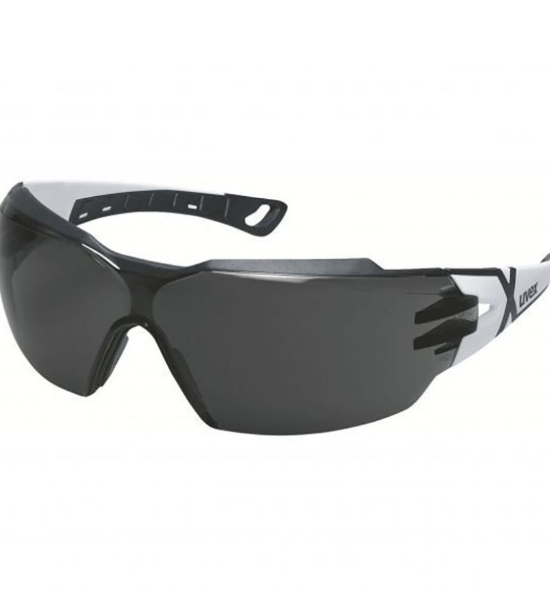 Kaitseprillid Uvex UV9198230; hall