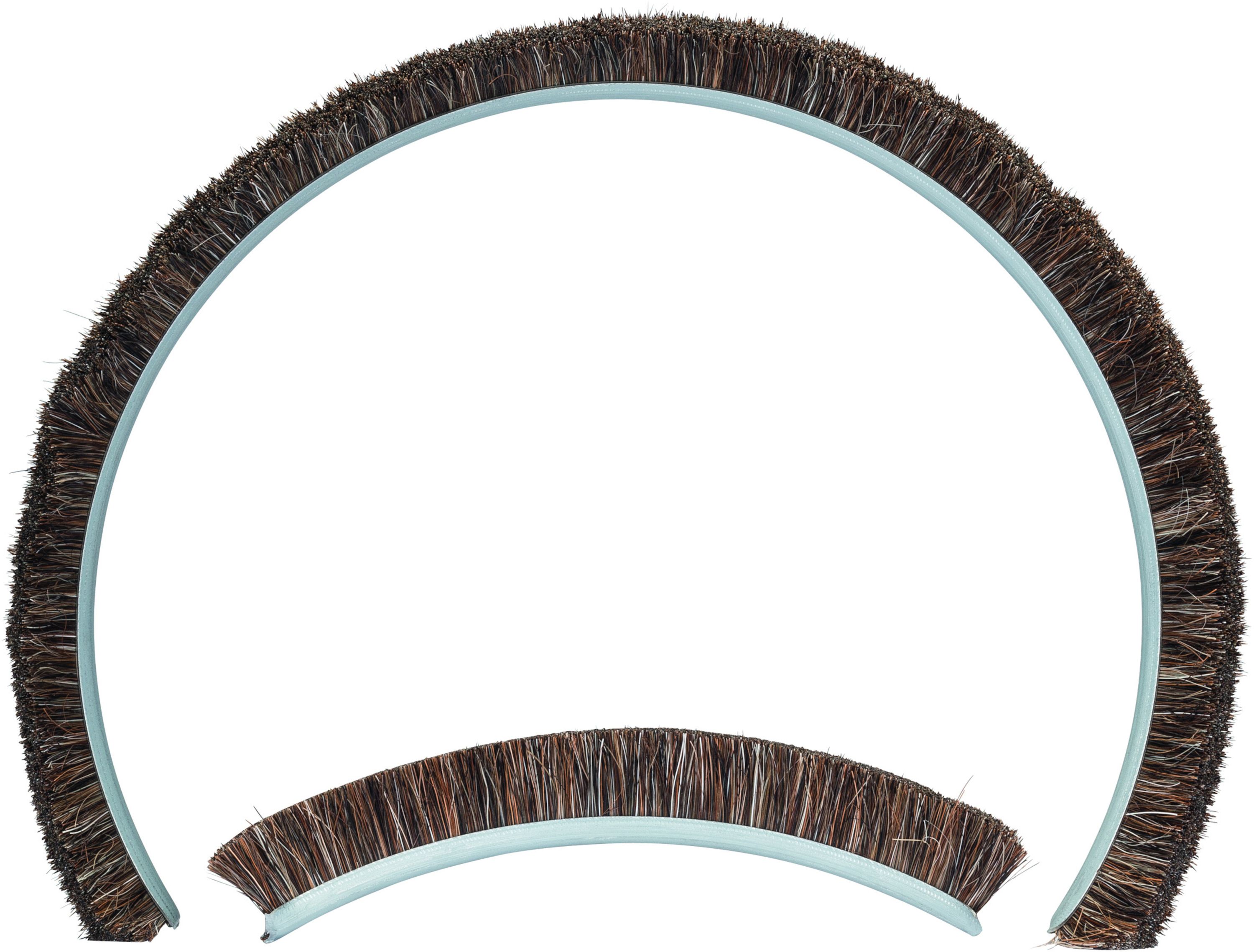 Vahetatavad harjad Bosch PRO